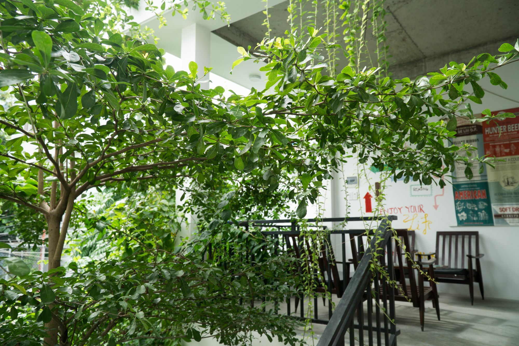 Kiu House - 3Br - Green & Artistic Da Nang Exterior photo