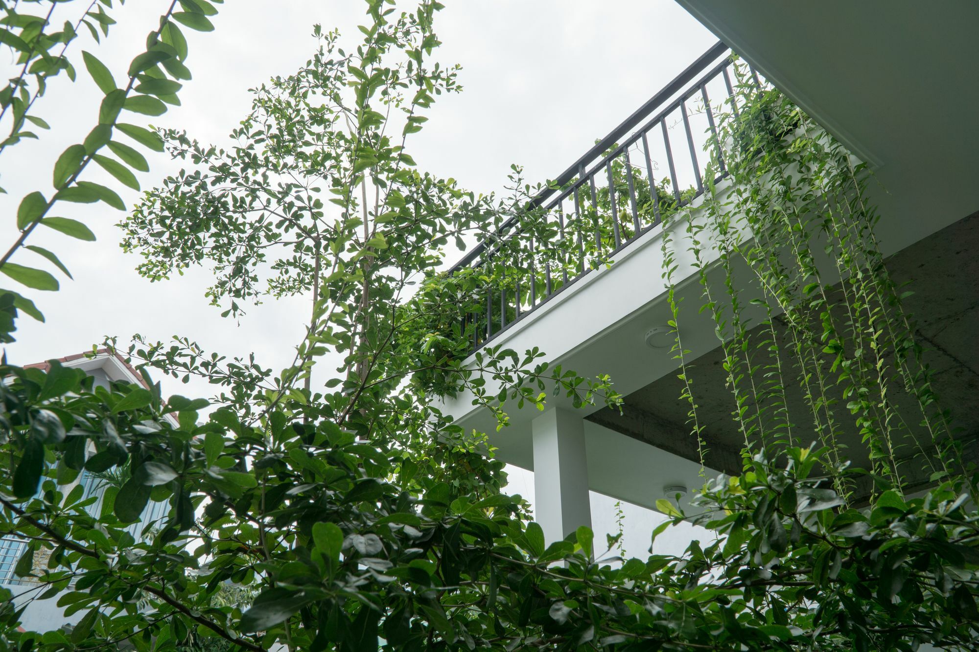 Kiu House - 3Br - Green & Artistic Da Nang Exterior photo